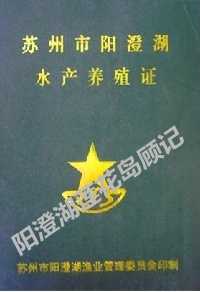 陽(yáng)澄湖蓮花島