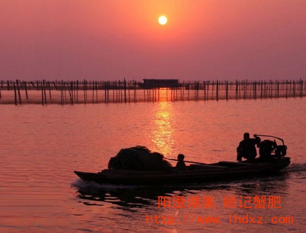 陽(yáng)澄湖晚霞