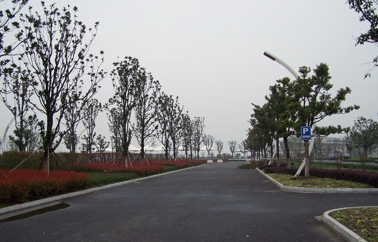 蓮花島碼頭停車場86