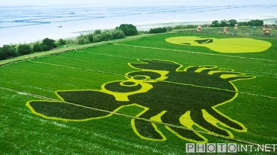 蘇州相城“醉美陽(yáng)澄湖”攝影展將在京舉辦