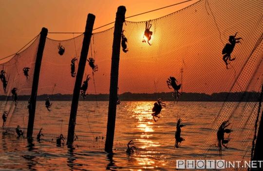 蘇州相城“醉美陽(yáng)澄湖”攝影展將在京舉辦